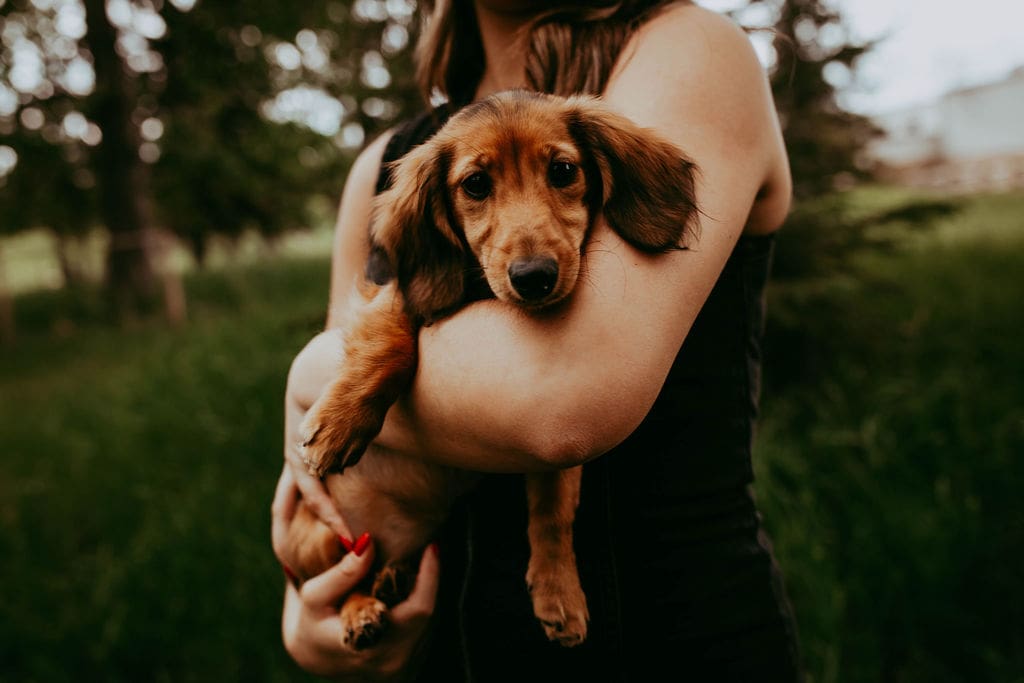A woman holding her dog in the arms of another person.
